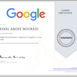 Course 8 — Google Data Analytics Capstone - Case Study-1